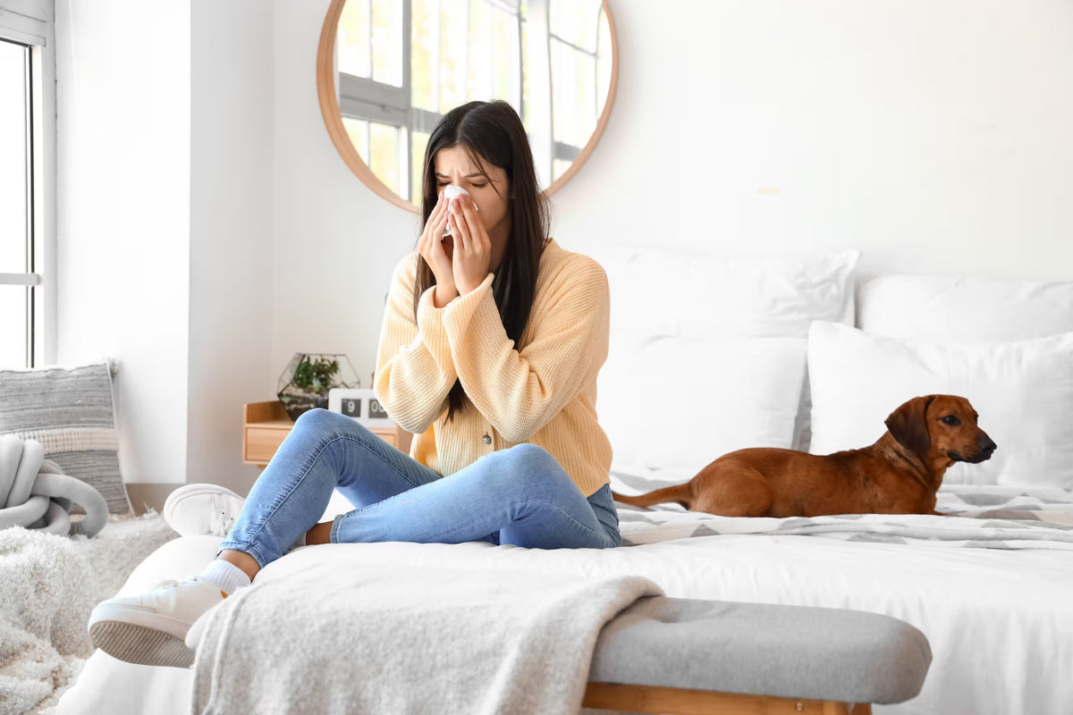 Allergy Protective Bedding